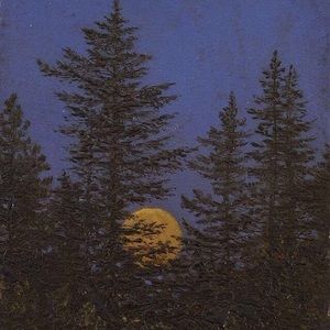 Meet your Posher, Cameron